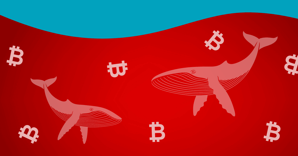 Whales Move Millions of Cryptos