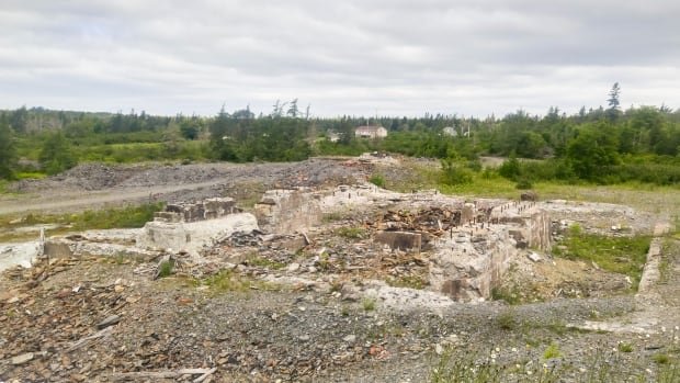 N.S. wants to clean up a contaminated former gold mine — if only it could figure out who owns the land