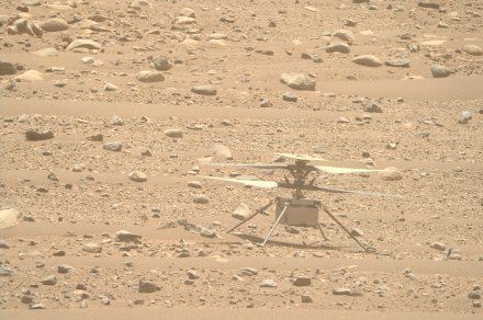 Ingenuity and Perseverance snap pictures of every various on Mars